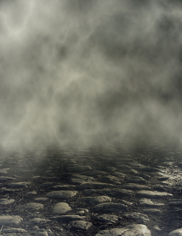 fog over cobblestone path