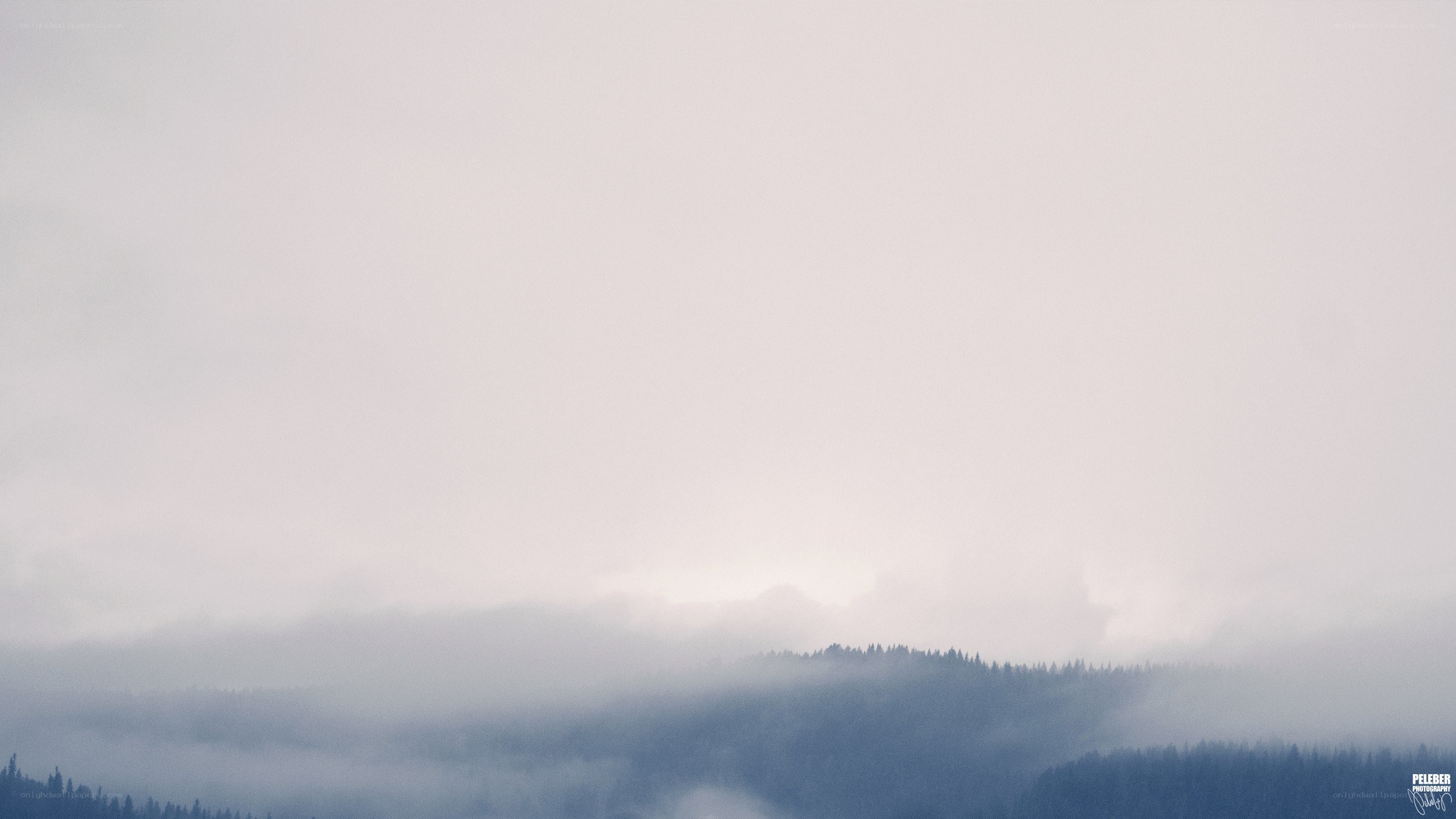 Fog over forested hills