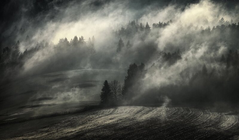 Fog over Forested Hills — Black