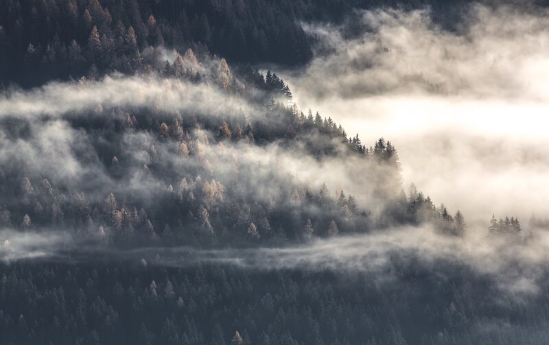 Fog over Forested Hills — Gray
