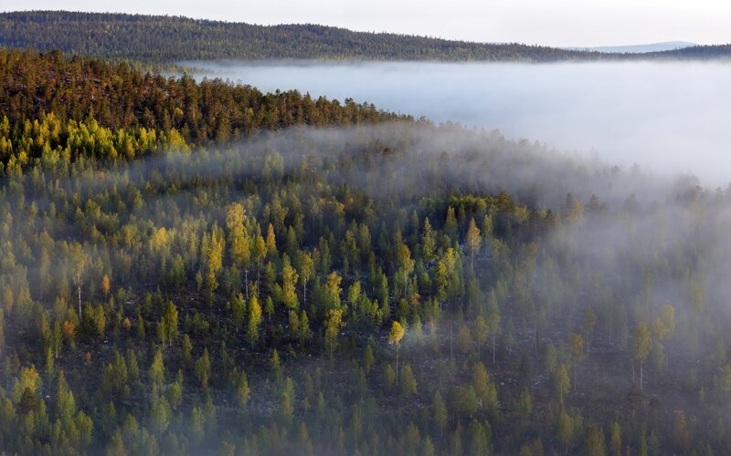 Fog over forested hills