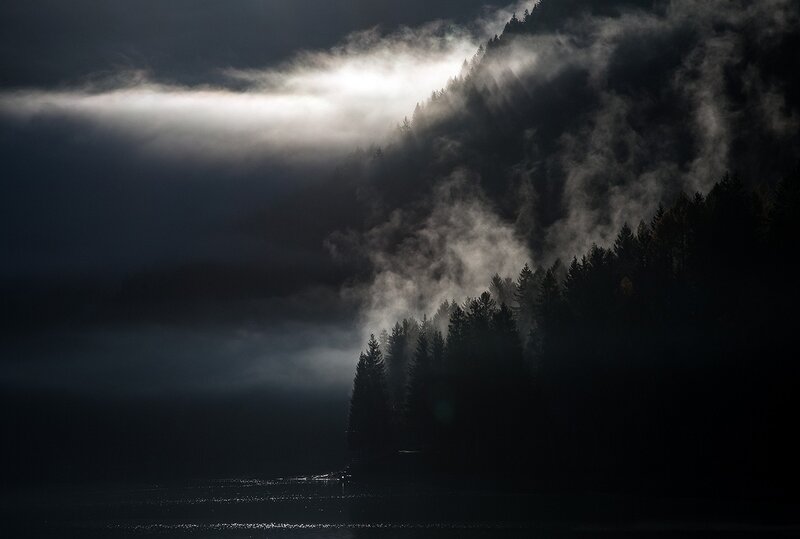 Fog over Forested Mountains — Black
