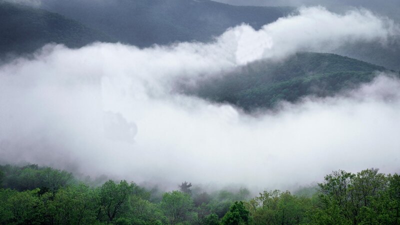Fog over forested mountains