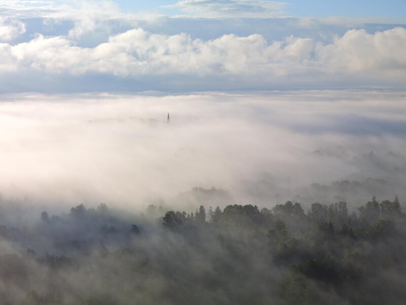 Fog over forested valley