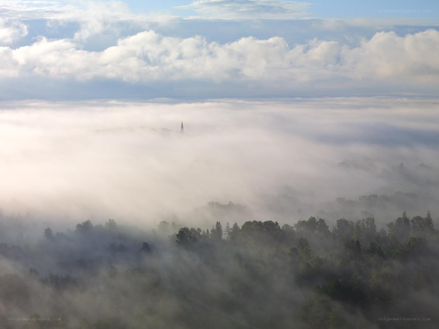 Fog over forested valley