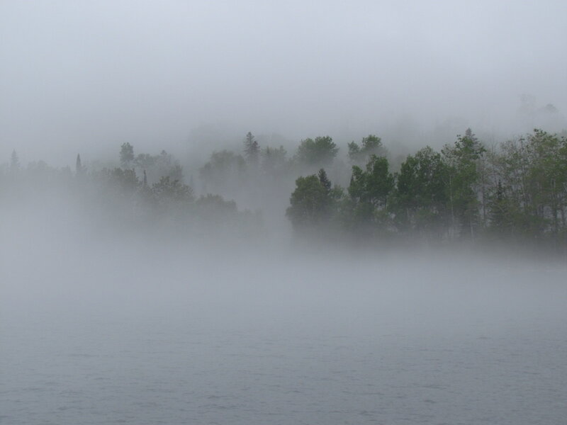 Fog over Lake and Trees