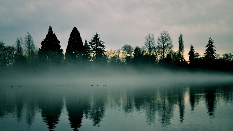 Fog over Lake with Trees