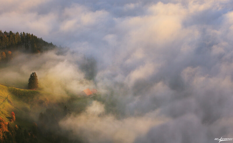 Fog over Mountain Valley