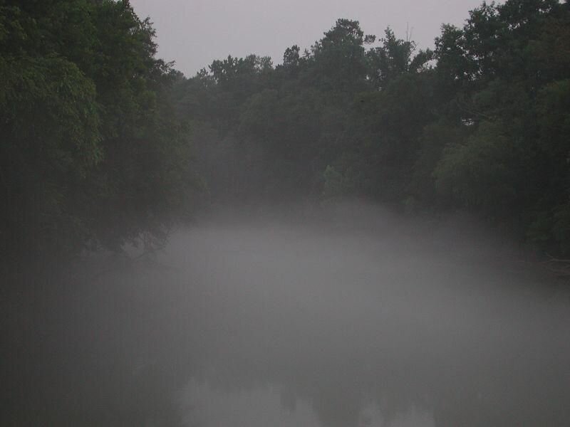Fog over River