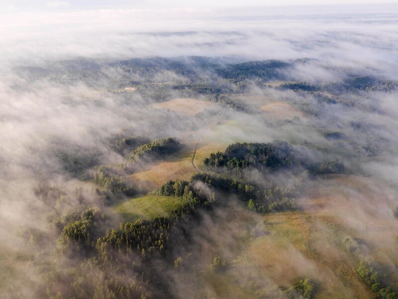 Fog over rolling hills