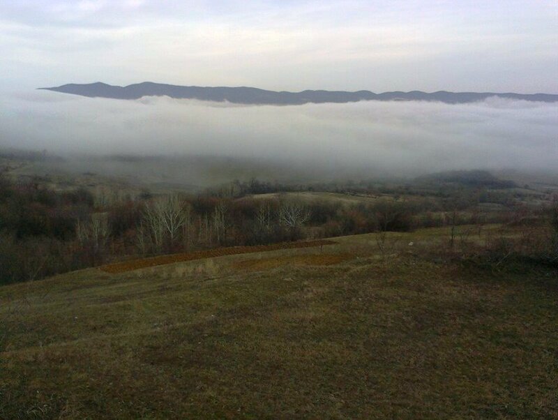 Fog over Valley
