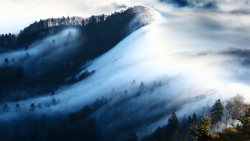 Fog Rolling over Forested Hills
