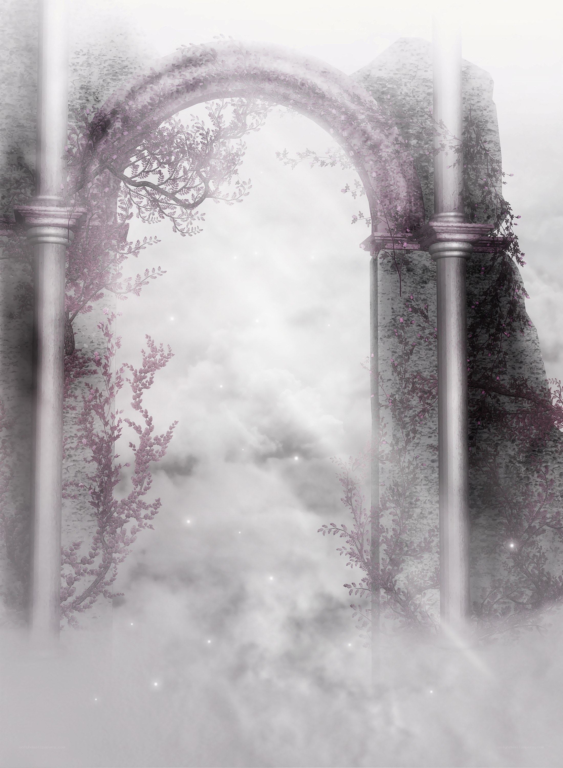 foggy archway with vines