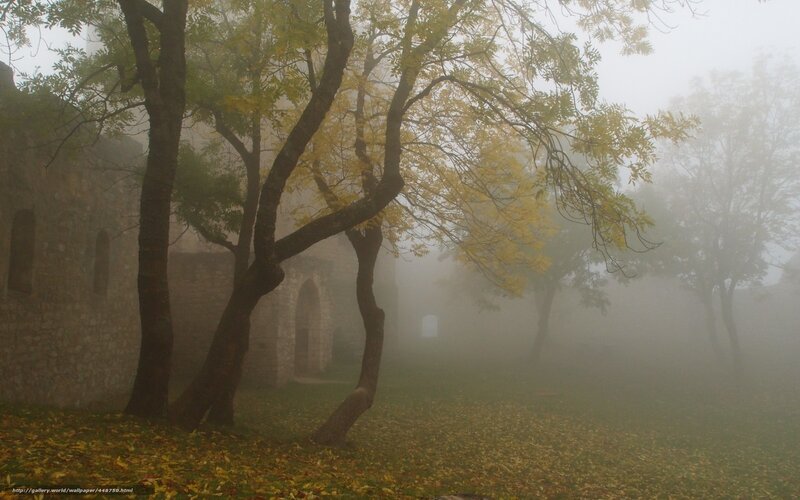 Foggy autumn courtyard