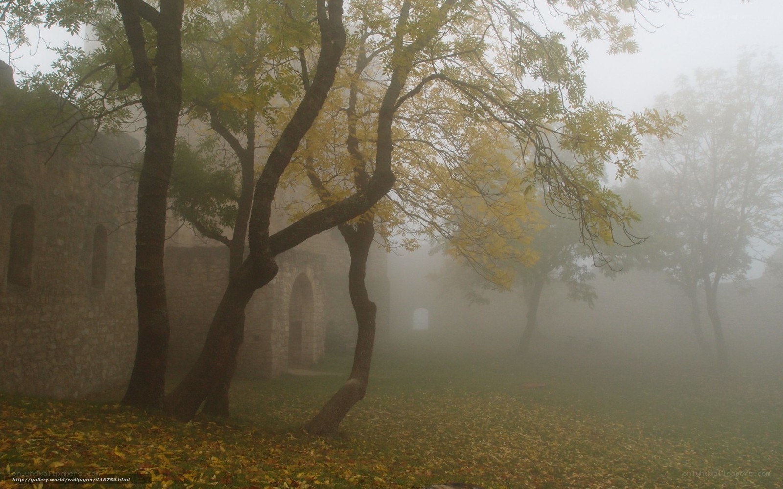 Foggy autumn courtyard