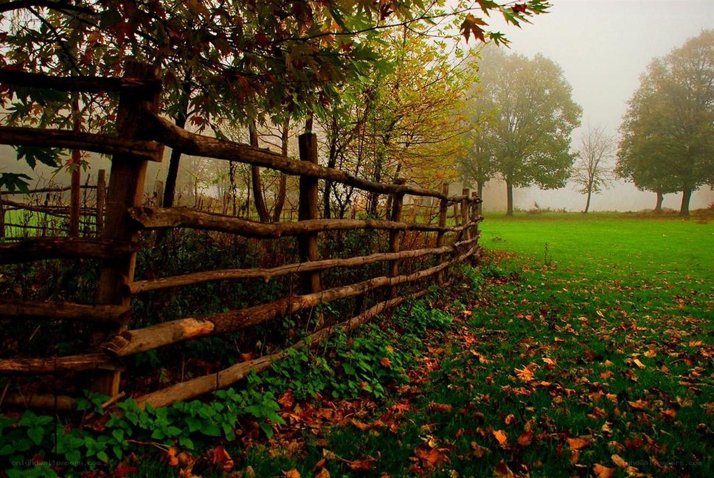 Foggy autumn fence path
