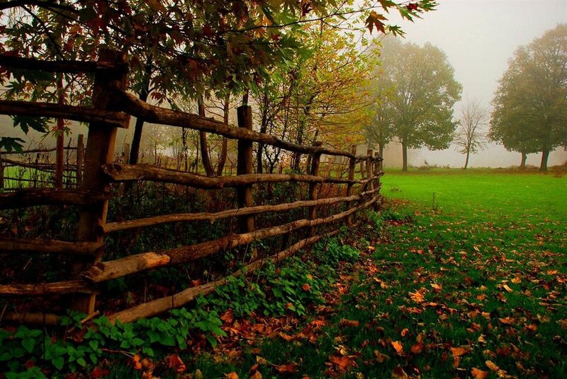 Foggy autumn fence scene