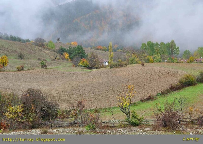 Foggy autumn hills with farmland
