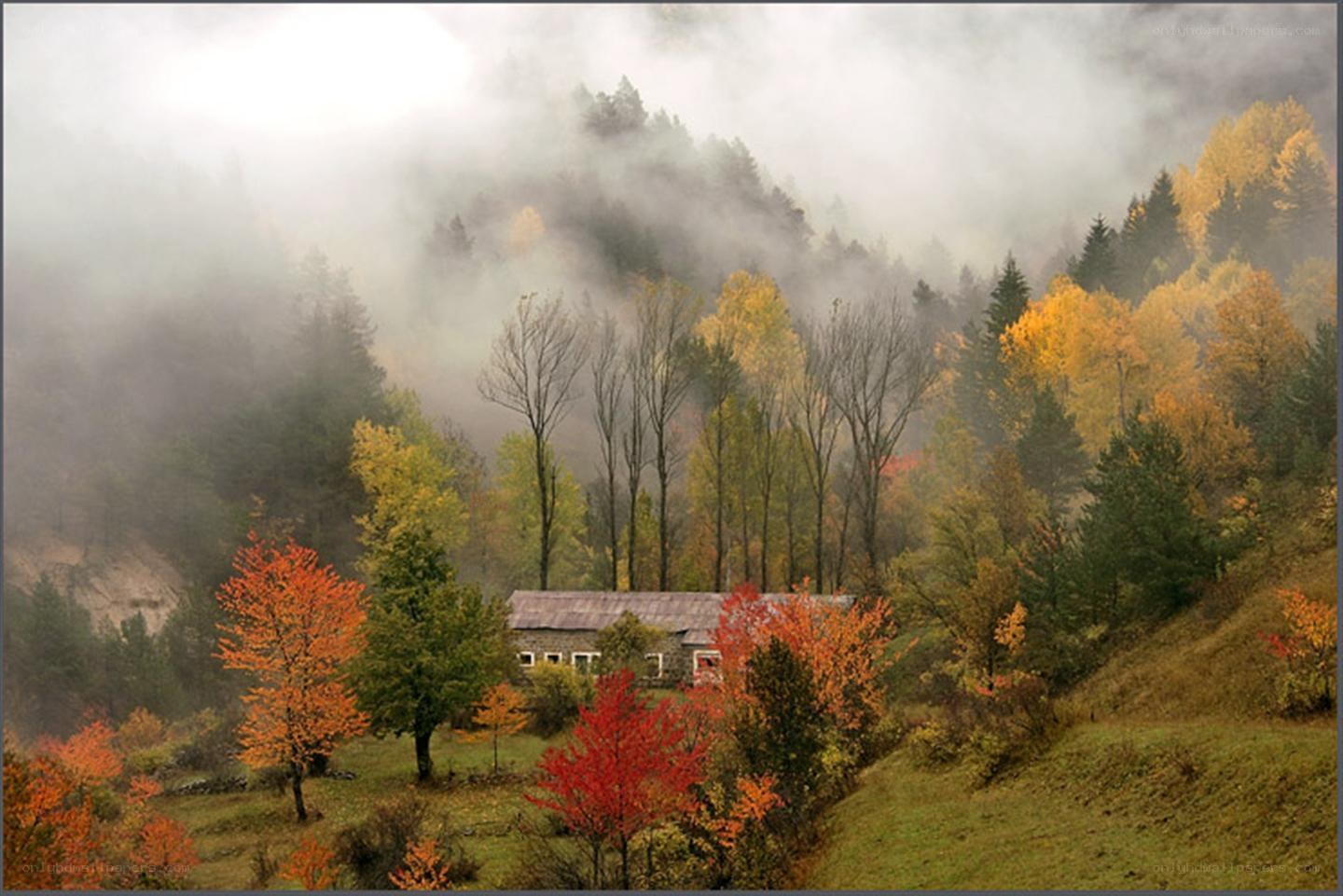Foggy autumn mountain cabin