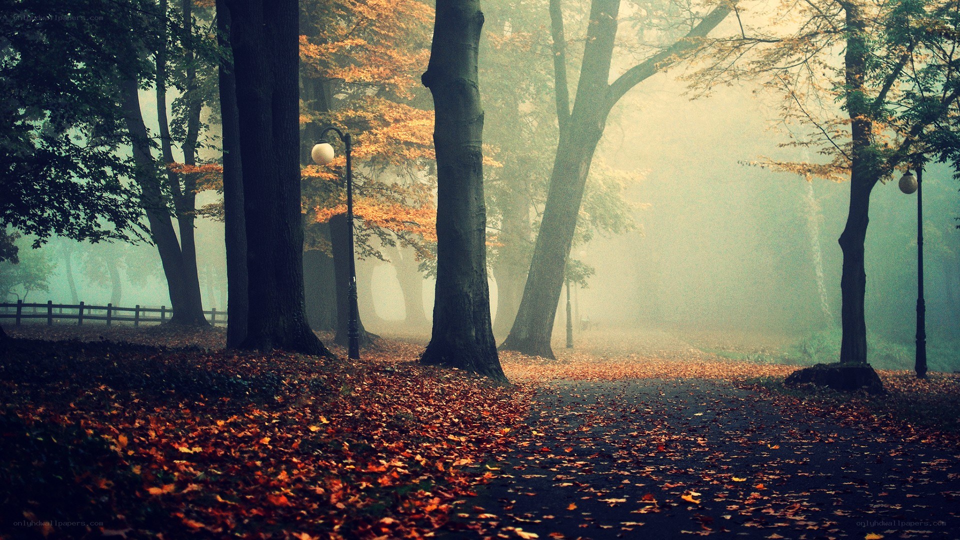 Foggy autumn park path