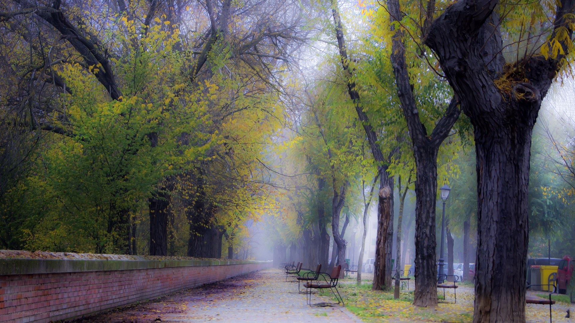 Foggy autumn park path