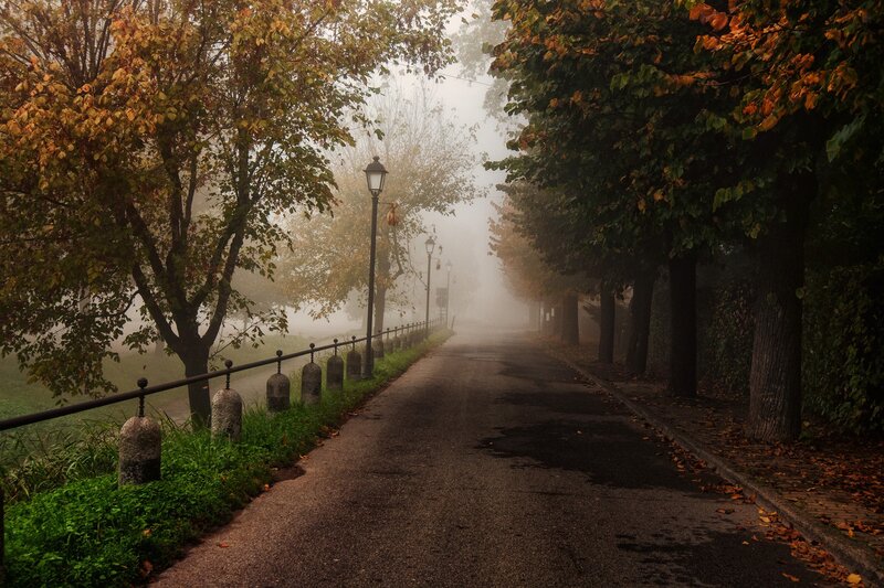 Foggy autumn path