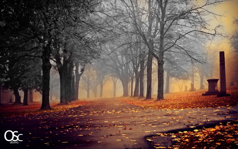 Foggy autumn path in cemetery