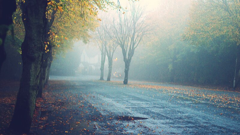 Foggy autumn street with fallen leaves