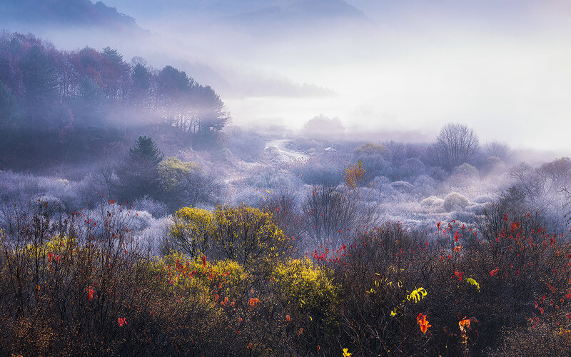 Foggy Autumn Valley