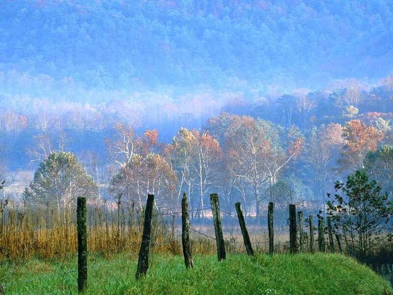 Foggy autumn valley with fence