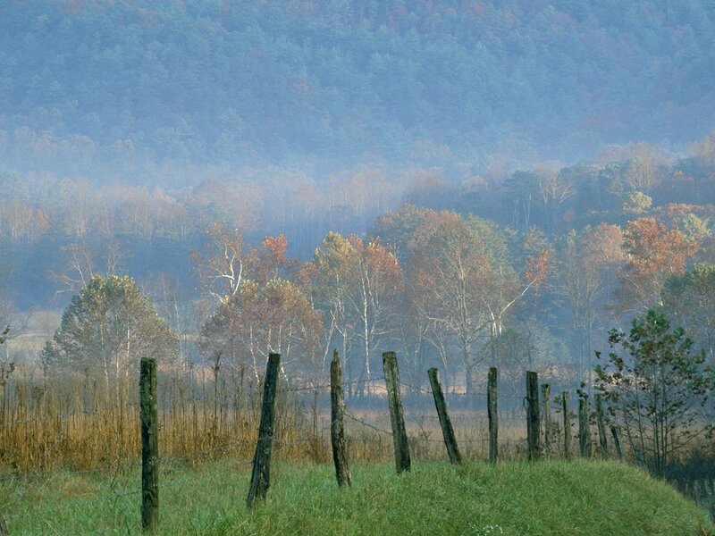 Foggy autumn valley with fence