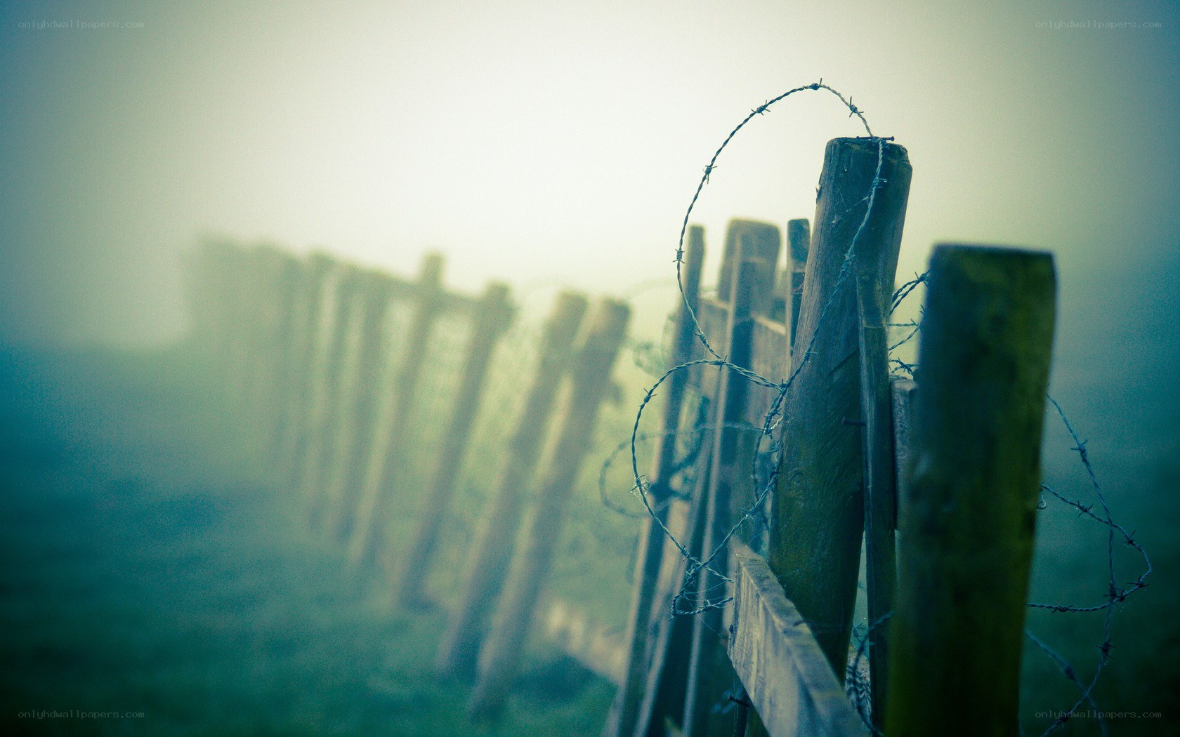 foggy barbed wire fence