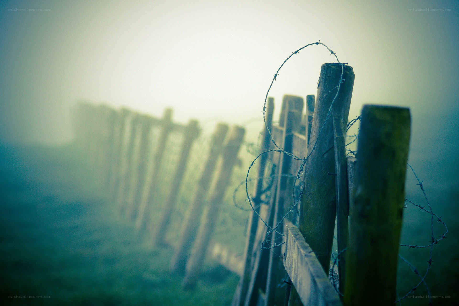 Foggy barbed wire fence