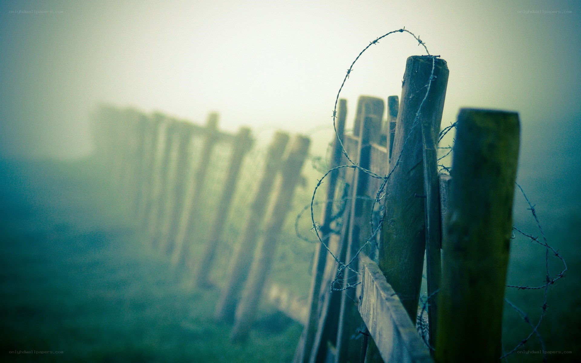 foggy barbed wire fence