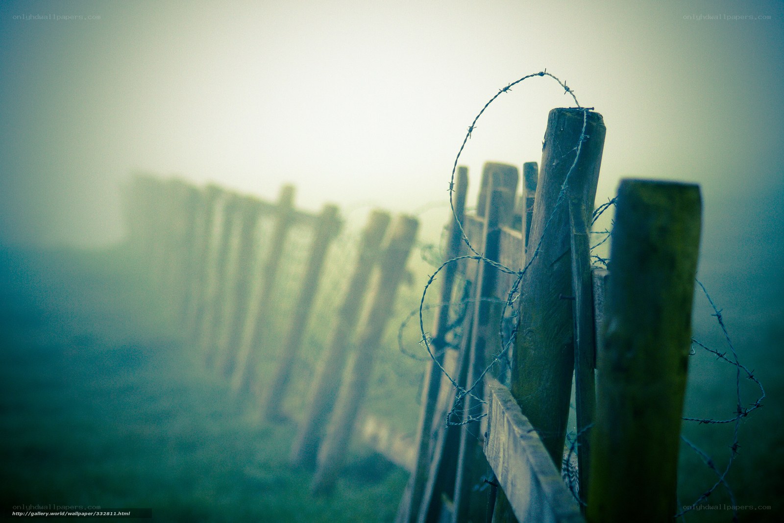 Foggy barbed wire fence