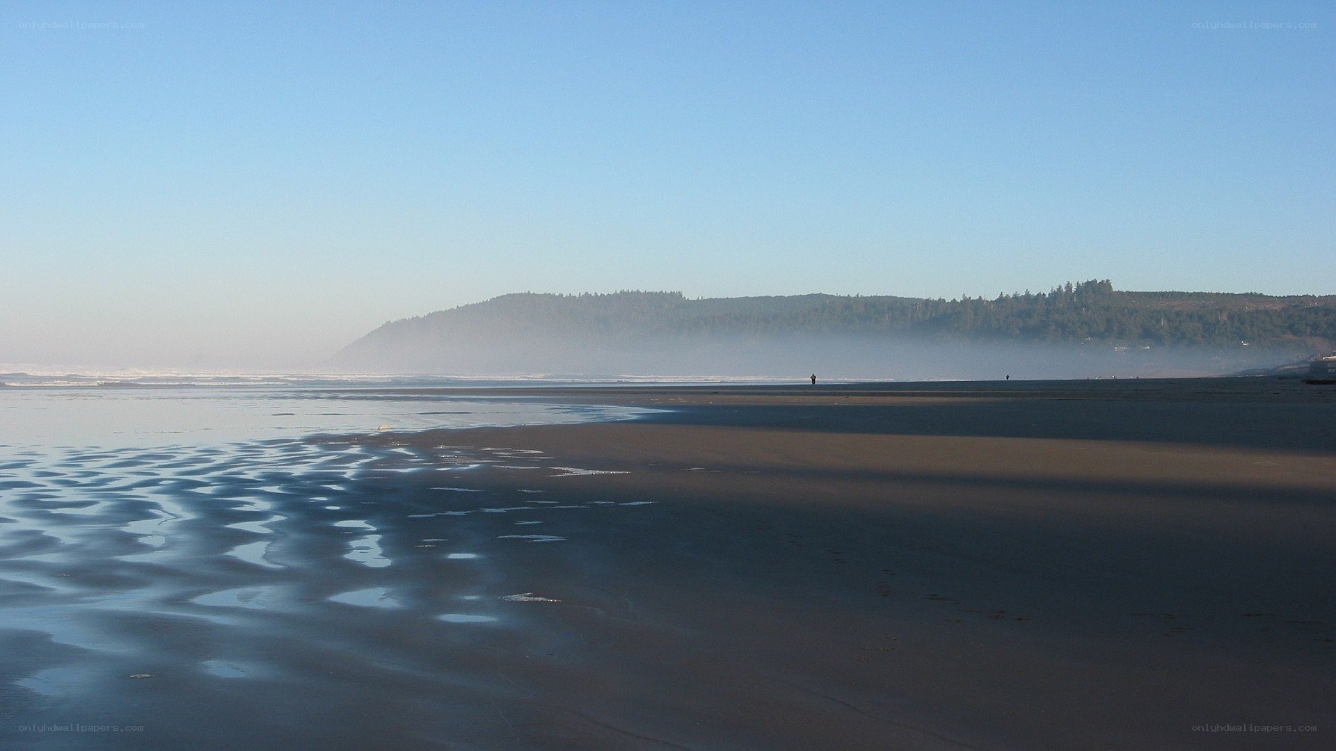foggy beach at dawn