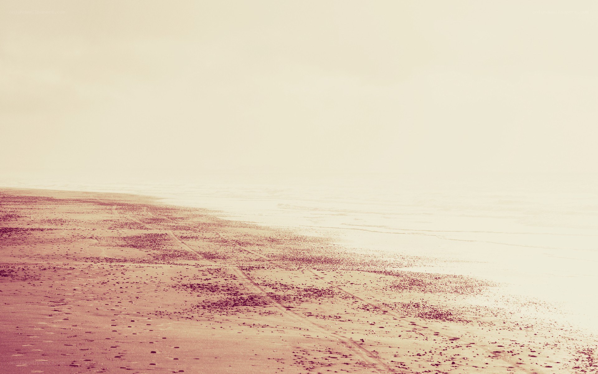 foggy beach at dawn