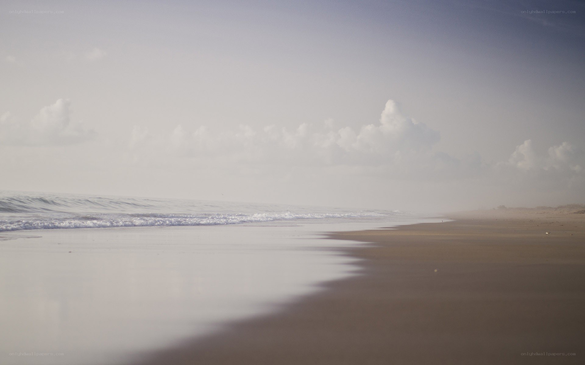 foggy beach at dawn
