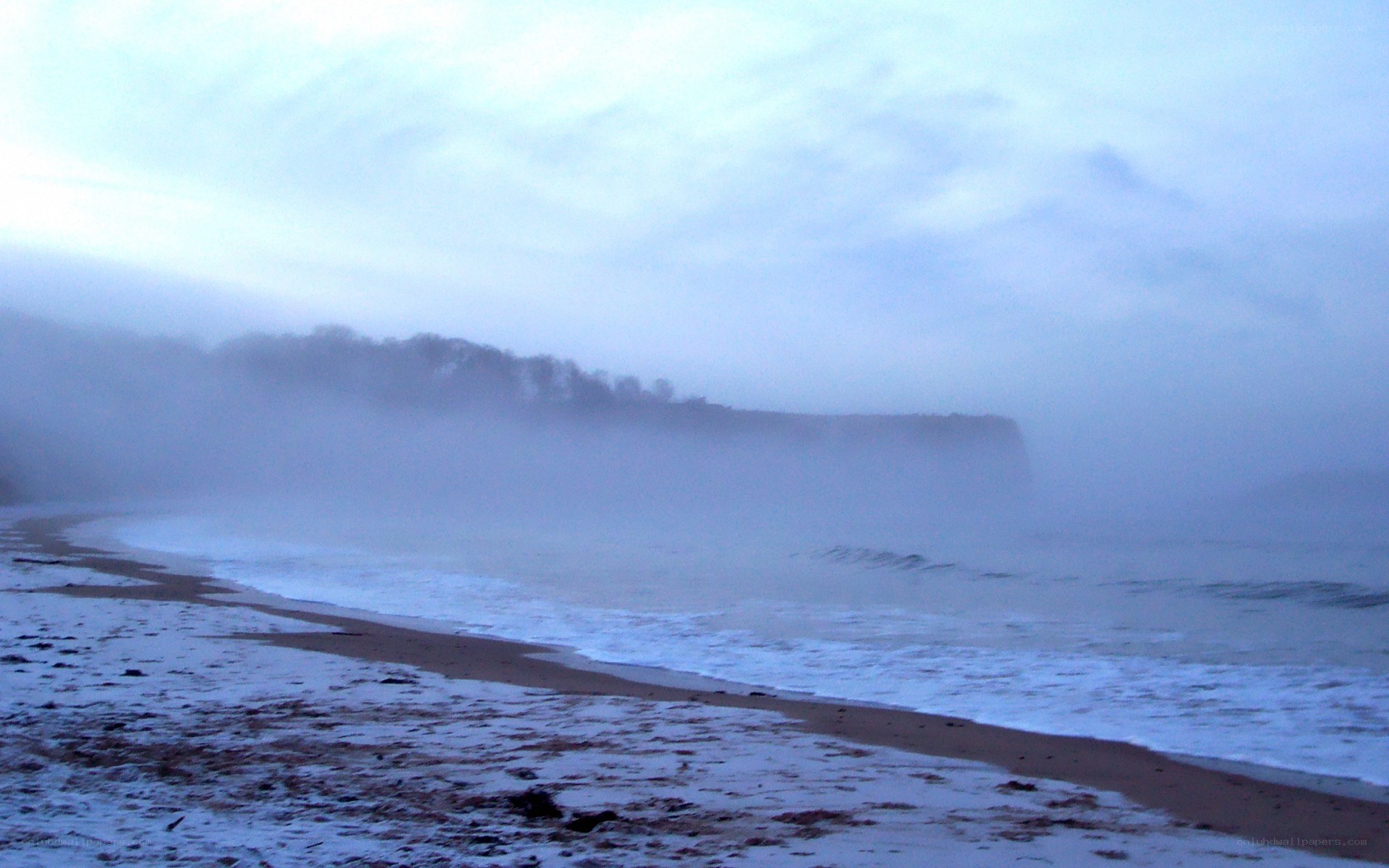 foggy beach at dawn