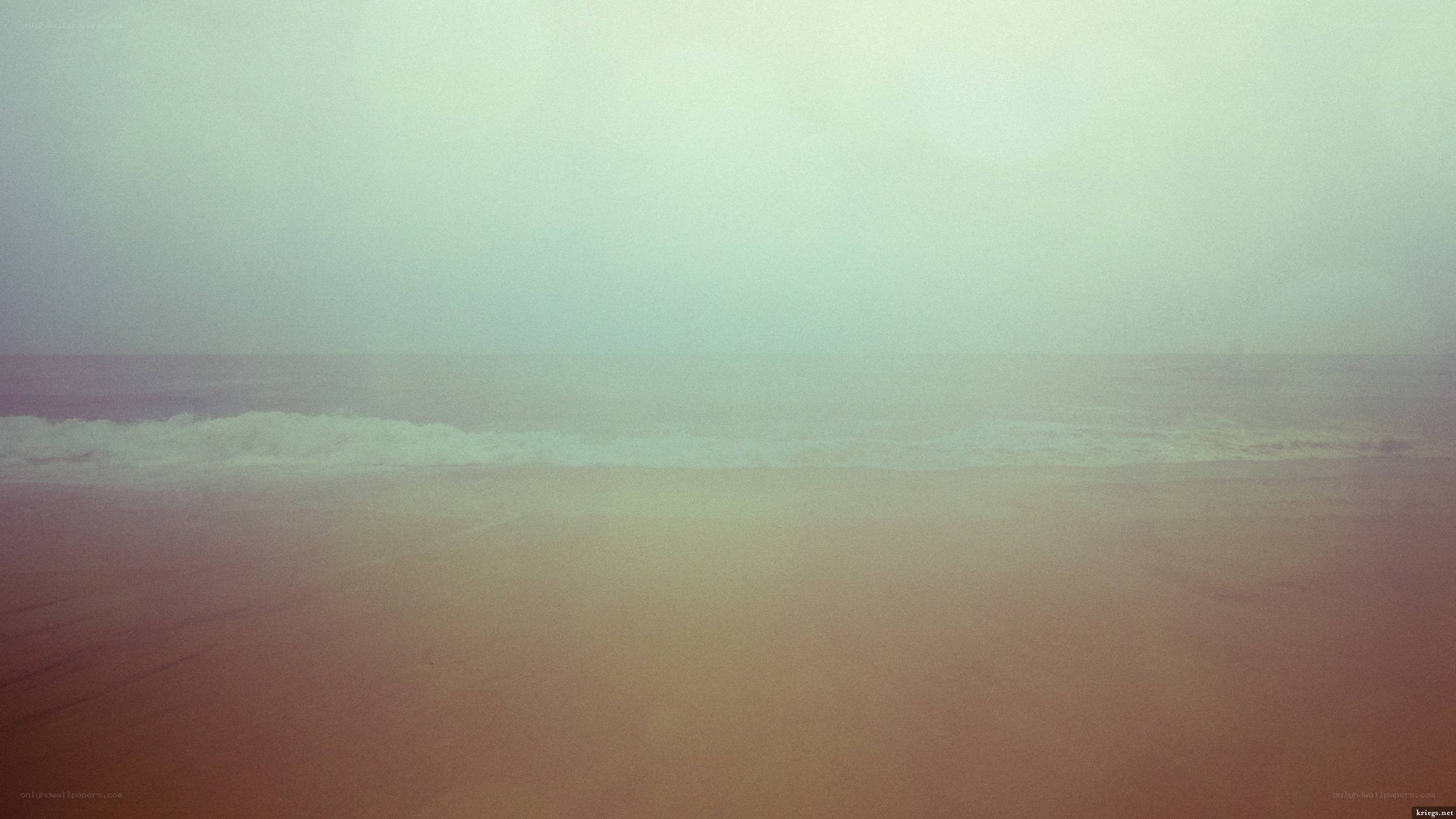 foggy beach at dawn