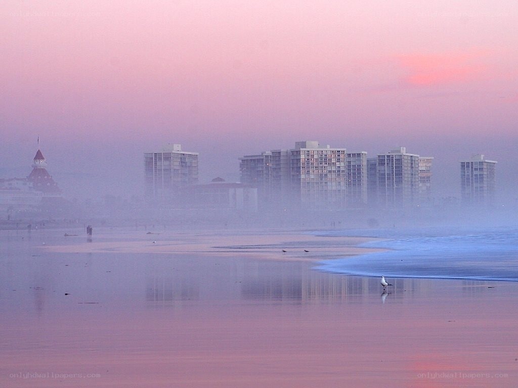 foggy beach at dawn