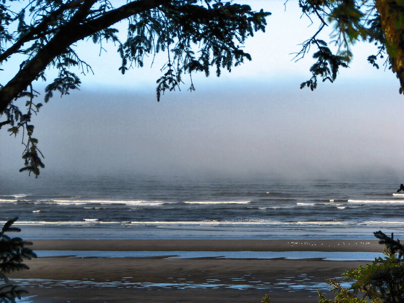 Foggy Beach at Dawn — Blue