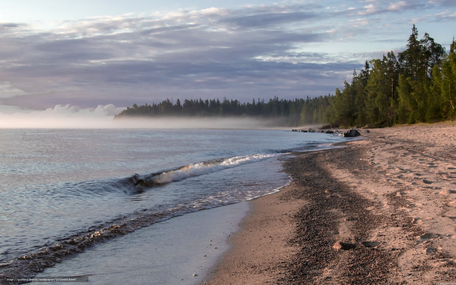 Foggy beach at dawn