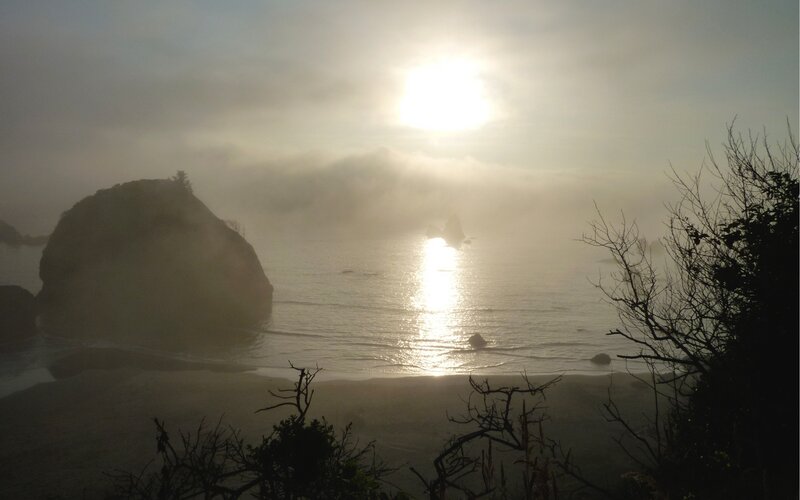 Foggy Beach at Sunrise