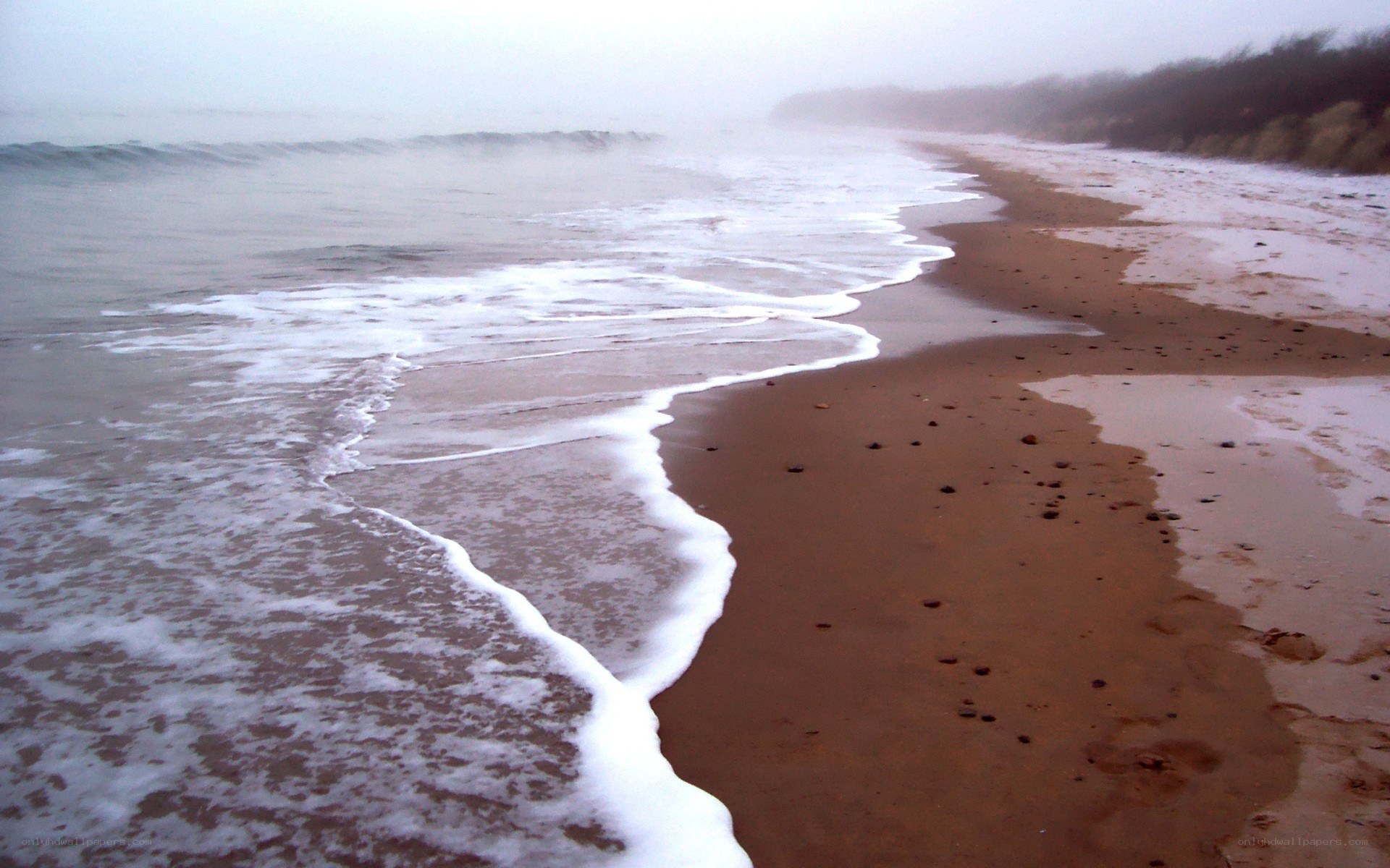 foggy beach with gentle waves