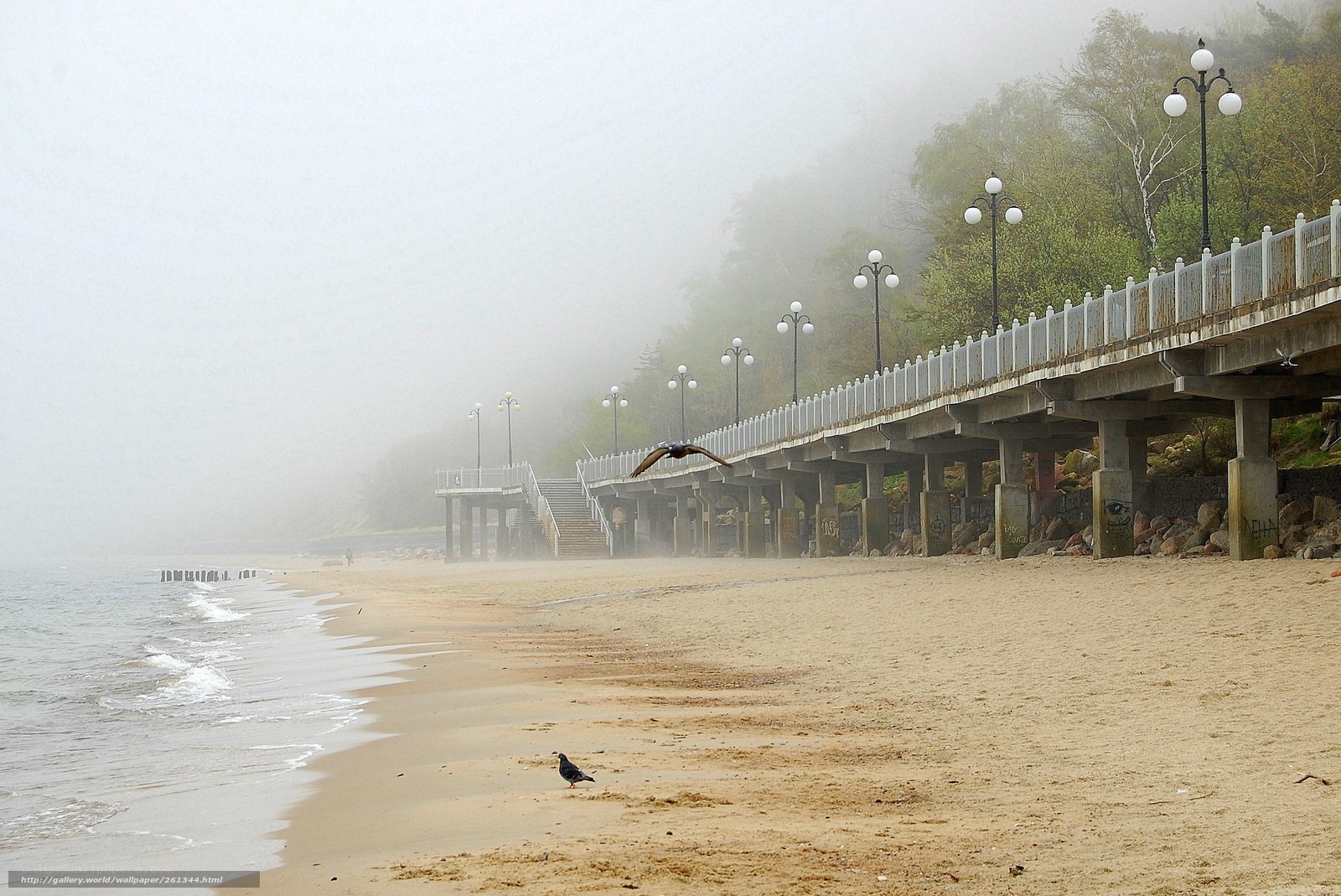 Foggy beach with pier