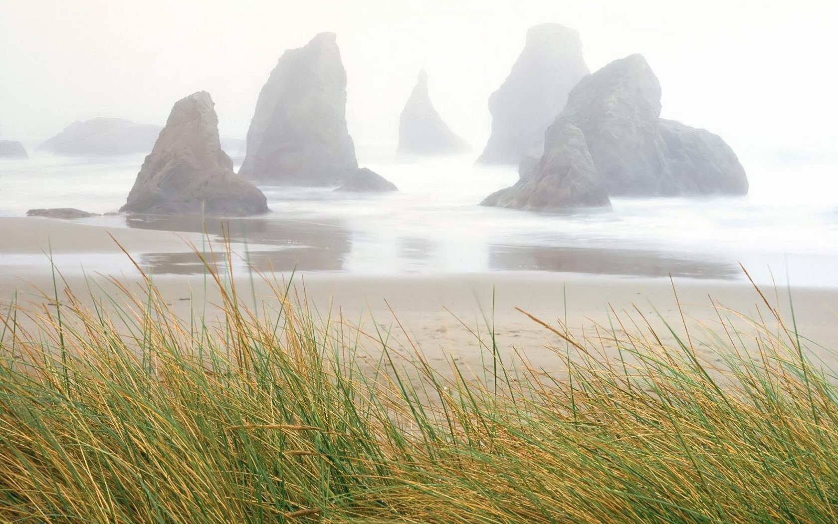 Foggy beach with sea stacks