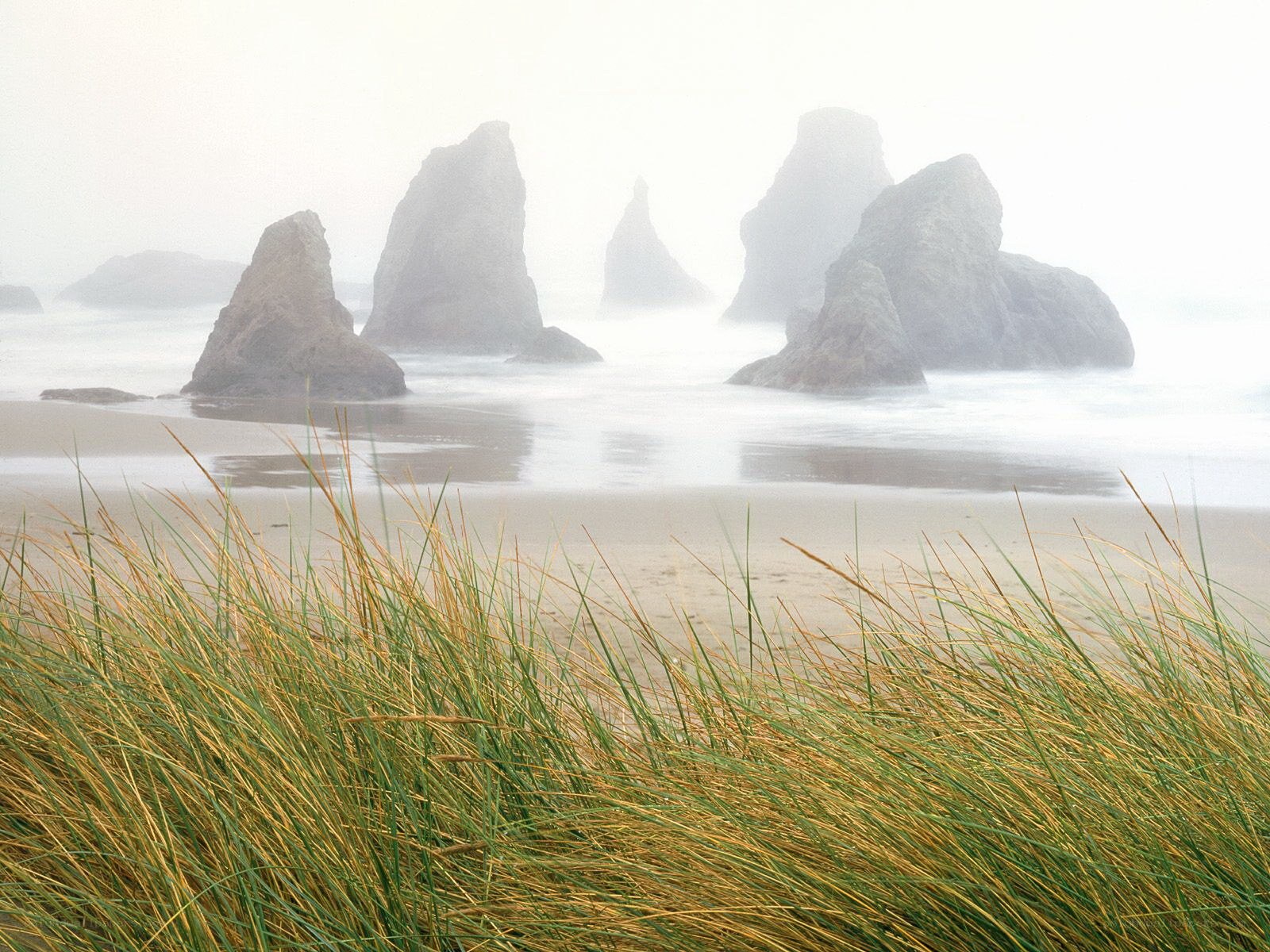 foggy beach with sea stacks