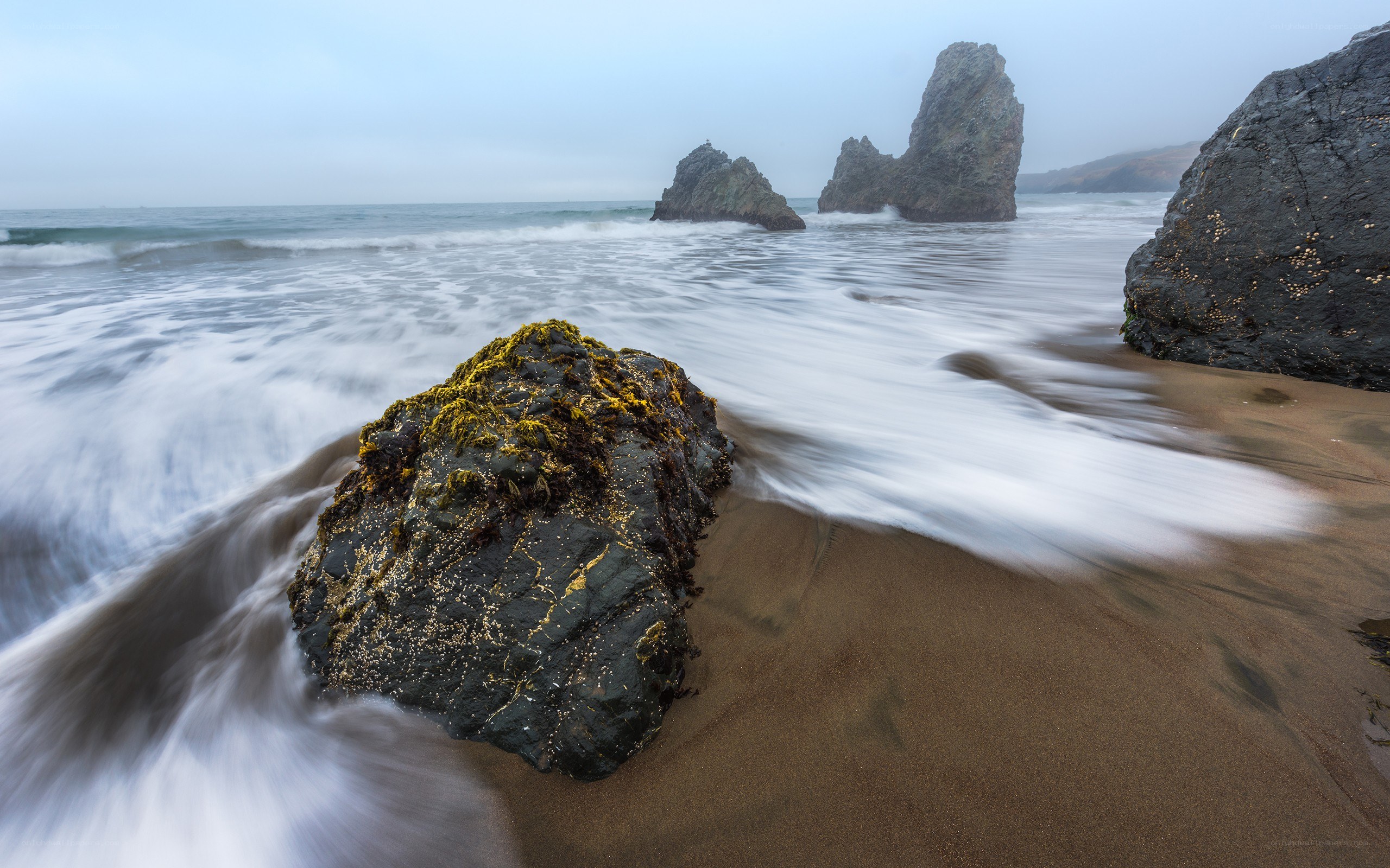 Foggy beach with sea stacks