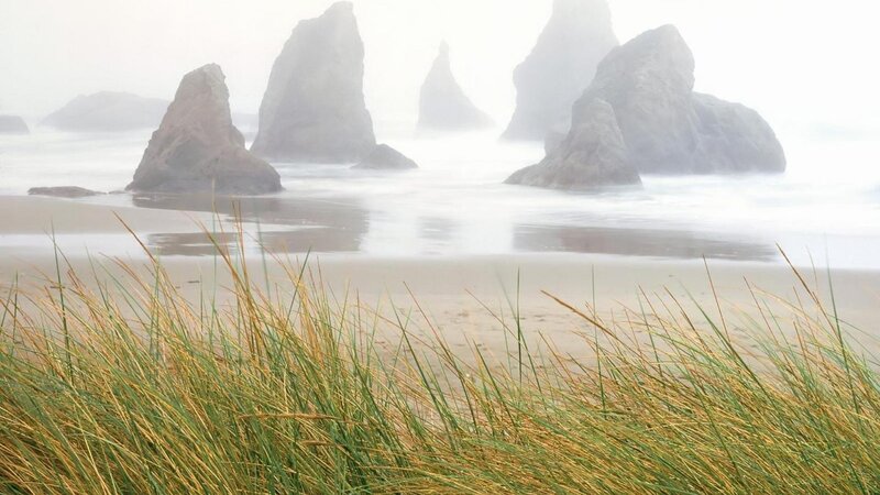 Foggy Beach with Sea Stacks — Gray